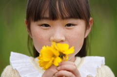 Bé gái, girl, hoa bồ công anh, dandelion, chân dung, portrait, ánh sáng tự nhiên, natural light 2