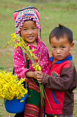 Thiếu nhi, children, trang phục dân tộc, ethnic costume, hoa cúc vàng, mùa xuân 8