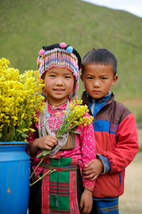 Thiếu nhi, children, trang phục dân tộc, ethnic costume, hoa cúc vàng, mùa xuân 7