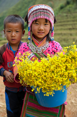 Thiếu nhi, children, trang phục dân tộc, ethnic costume, hoa cúc vàng, mùa xuân 5