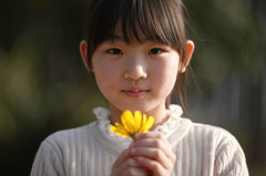 Bé gái, girl, hoa bồ công anh, dandelion, chân dung, portrait, ánh sáng tự nhiên, natural light 1