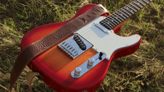 Guitar điện, guitar, đàn guitar, đàn ghi ta, nhạc cụ, instrument, âm nhạc, music, giải trí, entertainment - alexey