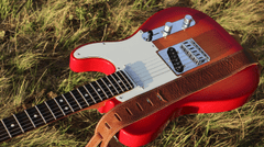 Guitar điện, guitar, đàn guitar, đàn ghi ta, nhạc cụ, instrument, âm nhạc, music, giải trí, entertainment - alexey 1