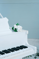 Piano, đàn piano, đàn, instrument, âm nhạc, music, giải trí, entertainment - Hatice