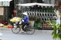 Xe đạp, bicycle, Việt Nam, Vietnam, nón lá, conical hat, chợ, market - Ray In Vietnam