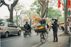 Xe đạp, bicycle, Việt Nam, Vietnam, nón lá, conical hat, xe máy, motorbike, ô tô, cars, hoa, flowers - Cien Nguyen