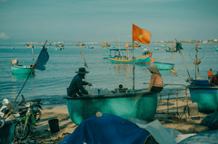 Thuyền đánh cá, fishing boat, thuyền thúng, basket boat, biển, sea, Việt Nam, Vietnam, ngư dân, fisherman - Pew Nguyen