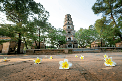 Chùa Thiên Mụ, Thiên Mụ Pagoda, Huế, hoa, flowers, kiến trúc cổ, ancient architecture - Quang Nguyen Vinh