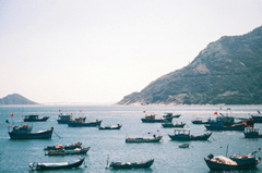 Thuyền đánh cá, fishing boat,  biển, sea, Việt Nam, Vietnam, wallpaper, background- Nguyen Trung Hieu