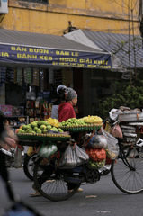 Xe đạp, bicycle, người bán hàng rong, street vendor, Việt Nam, Vietnam, nón lá, conical hat, trái cây, fruit - Viett Anh