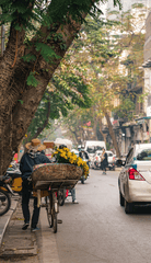Xe đạp, bicycle, Việt Nam, Vietnam, nón lá, conical hat, xe máy, motorbike, ô tô, car, hoa, flowers - phuong nguyen