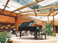 Piano, đàn piano, đàn, instrument, âm nhạc, music, giải trí, entertainment - Thuyen Vu؜