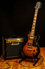 Guitar điện, guitar, đàn guitar, đàn ghi ta, nhạc cụ, instrument, âm nhạc, music, giải trí, entertainment - aetaylor