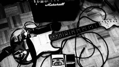 Guitar điện, guitar, đàn guitar, đàn ghi ta, nhạc cụ, instrument, âm nhạc, music, giải trí, entertainment - anahioppezzo
