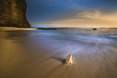 Vỏ ốc, seashell, bãi biển, beach, cát vàng, yellow sand, sóng biển, sea wave - Quangpraha 1