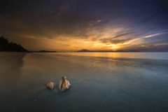 Vỏ ốc, seashell, bãi biển, beach, cát vàng, yellow sand, sóng biển, sea wave - Quangpraha 4