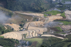Ruộng bậc thang, terraced fields, lúa, rice, núi rừng, mountains- Quangpraha 8