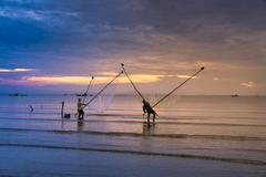 Biển, sea, đánh bắt thủ công, traditional fishing, lưới cào, fishing net, bình minh, sunrise, lao động biển, coastal labor, - Quangpraha 2