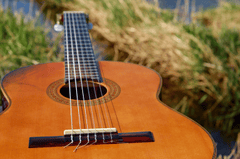 Guitar, đàn guitar, đàn ghi ta, nhạc cụ, instrument, âm nhạc, music, giải trí, entertainment - Couleur
