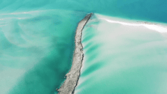 Bãi cát, sandbank, biển xanh, turquoise sea - ambam_gorilla 2