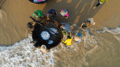 Nông dân, Farmer, làng chài, đánh bắt cá, chợ, bán cá, fishing village, fishing, market, fish selling, hình nền, nền, background -trilemedia 4
