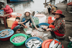 Nông dân, Farmer, làng chài, đánh bắt cá, chợ, bán cá, fishing village, fishing, market, fish selling, hình nền, nền, background -trilemedia 2