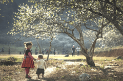 Em bé, trẻ em, vùng cao, Baby, children, highland,hình nền, nền, background -Quangpraha