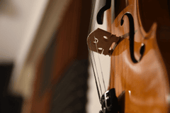 Violin, đàn vĩ cầm vĩ cầm, violin, vi ô lông, nhạc cụ, instrument, âm nhạc, music, giải trí, entertainment - MAGstd
