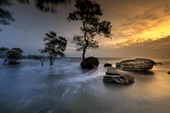 Đá, rock, hoàng hôn, sunset, biển, sea, mây trời, sky, cây, tree- Quangpraha 7