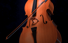 Violin, đàn vĩ cầm vĩ cầm, violin, vi ô lông, nhạc cụ, instrument, âm nhạc, music, giải trí, entertainment - PIRO4D 1