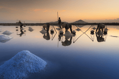 Muối, salt, cánh đồng muối, salt field, gánh muối, salt baskets, hoàng hôn, sunset- Quangpraha 1