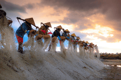 Muối, làm muối, người dân,Salt, salt making, people, hình nền, nền, background -Quangpraha