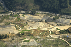 Ruộng bậc thang, Terraced rice fields, hình nền, nền, background - Quangpraha