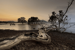 Hồ nước, lake, hoàng hôn, sunset,cây, tree, bãi cát, sand - Quangpraha