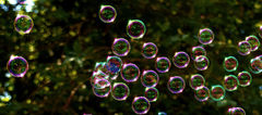 Bong bóng, bubbles, background,bokeh nền, tự nhiên, nature,ngoài trời, outdoor,ánh nắng, sunlight-  Alexas_Fotos