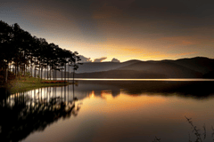 Sông, river, hoàng hôn, sunset, tree, cây, hình nền, nền, background - Quangpraha