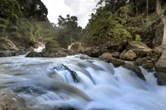 Thác, suối, Waterfalls, streams, hình nền, nền, background - Quangpraha