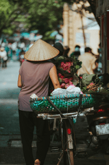 Nón lá, conical hat, hoa sen, lotus, giỏ, xe đạp, bicycle, Việt Nam - khoinguyenfoto