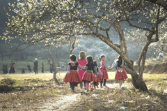 Em bé, trẻ em, vùng cao, Baby, children, highland,hình nền, nền, background -Quangpraha 1