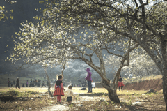 Em bé, trẻ em, vùng cao, Baby, children, highland,hình nền, nền, background -Quangpraha 2