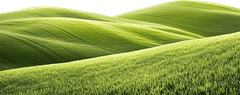 Cỏ, bãi bỏ, thiên nhiên, grass, lawn, nature