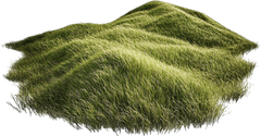 Cỏ, bãi bỏ, thiên nhiên, grass, lawn, nature 1