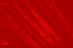 Nền đỏ, red, red background, hình nền, nền, background