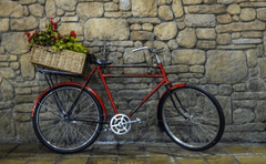 Xe đạp, xe đạp thể thao, xe, bike, thể thao, sport - Magda Ehlers