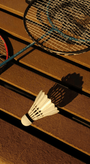 Cầu lông, quả cầu, badmintone, vợt cầu lông, badminton racket, sport, thể thao  - tim