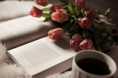 Rose, hoa hồng, coffee, cà phê, glass mug, cốc thủy tinh, book, sách, bed, giường - Feyza Daştan