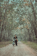 Xe máy, motorbike, vườn cao su, rubber plantation, đẩy xe máy, push motorbike, hàng cây, row of trees, đường đất, dirt road,  thanh niên, young man - Bảo Huỳnh 2