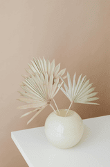 Lá cọ khô, dried palm, ceramic vase, lọ gốm, home decor, trang trí, minimalism, tối giản - Kaboompics.com 2