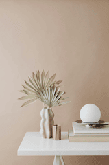Lá cọ khô, dried palm, ceramic vase, lọ gốm, home decor, trang trí, minimalism, tối giản - Kaboompics.com