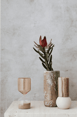 Ceramic vase, lọ gốm, bình hoa, hoa chuông protea, đồng hồ cát, home decor, trang trí, minimalism, tối giản - Kaboompics.com 1